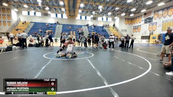 165 lbs Cons. Semi - Husam Mustafa, Lake Gibson High School vs Robbie Nelson, Yorkville Christian HS