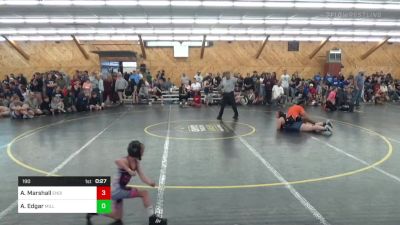 190 lbs Semifinal - Aleesha Marshall, Endicott vs Aubrey Edgar, Millville