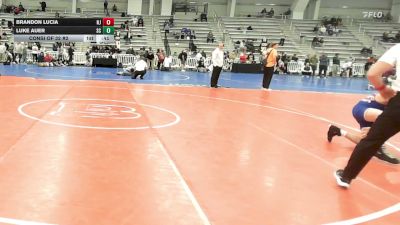 126 lbs Consi Of 32 #2 - Brandon Lucia, NJ vs Luke Auer, SC