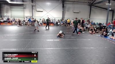 38 lbs Quarterfinal - Colton Corey, Carolina Reapers vs Gabriel Sharp, Reverence Wrestling Club