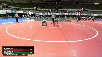 174 lbs Quarters & Wb (16 Team) - Gavin Fehr, Elizabethtown vs Avery Hall, Ferrum