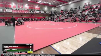 113 lbs Semifinal - Teague Meagher, Kamiakin vs Derrick Chavez, Zillah