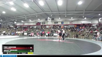 174 lbs Champ. Round 3 - Trey Sizemore, Indianapolis vs Brody Hemauer, UW-Parkside
