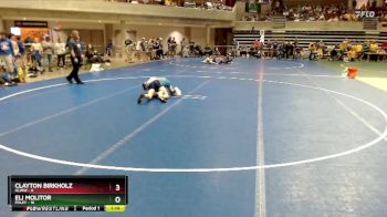115 lbs Semis (4 Team) - Clayton Birkholz, HLWW vs ELI MOLITOR, Foley
