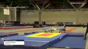 Chandler Graham - Double Mini Trampoline, All American - 2021 USA Gymnastics Championships