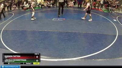 92 lbs Cons. Semi - Lincoln Schwettman, Badlands Elite vs Hudson Tatton, JWC