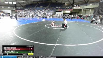 77 lbs Champ. Round 3 - Denton Omlid, Cherry Creek Wrestling Club vs Michael Rice, Twin City Wrestling Club