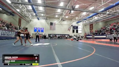 170 lbs Quarterfinal - Diana Naxi, Clinton vs Abigail Hayes, Edwardsville (H.S.)