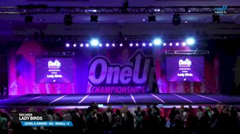 Pro Cheer - Lady Birds [2025 L3 Junior - D2 - Small - C Day 2] 2025 One Up Grand Nationals