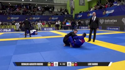 Luke Harris vs Reinaldo Augusto Ribeiro 2025 European Jiu-Jitsu IBJJF Championship