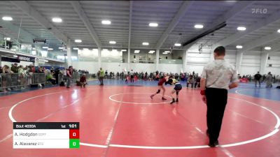 93 lbs Rr Rnd 3 - Avery Hodgdon, Goffstown vs Aydin Alavarez, BTS Providence