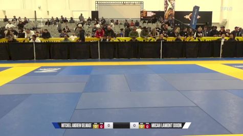 Micah Lamont Dixon vs Mitchell Andrew Delmage 2024 World IBJJF Jiu-Jitsu No-Gi Championship