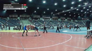 125 lbs Champ. Round 2 - Mason Nelson, Lindsey Wilson (Ky.) vs John Adams, Brewton-Parker (GA)