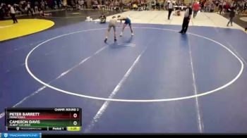 138 lbs Champ. Round 2 - Peter Barrett, Minnetonka vs Cameron Davis, Albert Lea Area