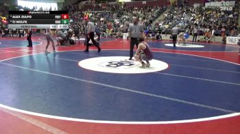 4A 126 lbs Semifinal - Tj Wolfe, BERRYVILLE HIGH SCHOOL vs Alex Zulpo, Perryville