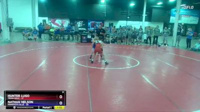 71 lbs Semis & 1st Wrestleback (8 Team) - Hunter Lugo, Texas Gold vs Nathan Nelson, Minnesota Blue