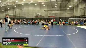 110 lbs Round 3 (4 Team) - Gavin Wiig, Iowa Blue vs Wylee Willson, Wyoming Gold