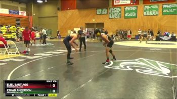 133 lbs Cons. Round 2 - Eliel Santiago, Palomar College vs Ethan Anderson, Lemoore College