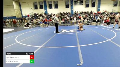 113 lbs Quarterfinal - Alex Rhein, Newton South vs Shea Morris, Haverhill