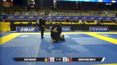 Andrew Kang-Ming Lo vs Jesse Hebscher 2026 Pan Jiu Jitsu IBJJF Championship