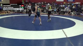 125 lbs Cons. Round 4 - Tate Thomas, Truett-McConnell (Ga.) vs Cee Jay Hamilton, AWC