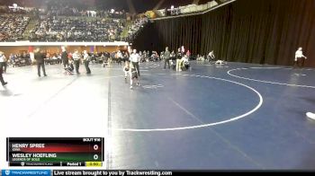 45 lbs Quarterfinal - Wesley Hoefling, Legends Of Gold vs Henry Spree, Iowa