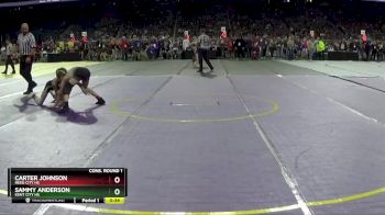 D3-106 lbs Cons. Round 1 - Carter Johnson, Reed City HS vs Sammy Anderson, Kent City HS