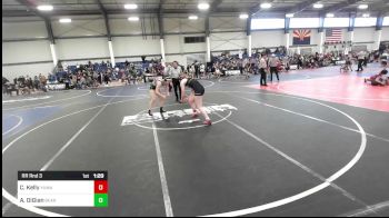 145 lbs Rr Rnd 3 - Cienna Kelly, Yuma Grit vs Alexa DiGian, Bear WC