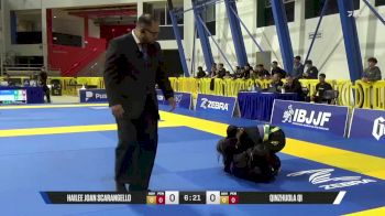 Qinzhuola Qi vs Hailee Joan Scarangello 2026 World Jiu-Jitsu IBJJF Championship