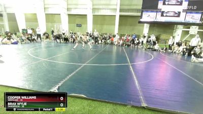 95 lbs Round 3 (4 Team) - Brax Wylie, Sanderson vs Cooper Williams, Westlake