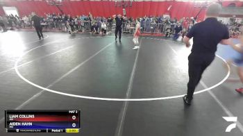 100 lbs 1st Place Match - Liam Collins, MN vs Aiden Hahn, MO
