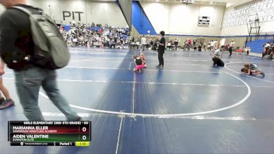 60 lbs Quarterfinal - Marianna Eller, Sanderson Wrestling Academy vs Aiden Valentine, Evanston Elite