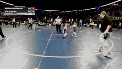 50 lbs Consy 4 - Andrew Schwarting, Central Bucks vs Ace Wharton, Northwest Area