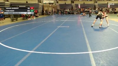 115 lbs Champ. Round 1 - Devan Subbert, Westfield vs Finn Root, WEM/JWP