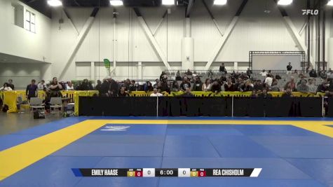 JUSTIN JAMES vs OLIVER SIMIC 2024 World IBJJF Jiu-Jitsu No-Gi Championship