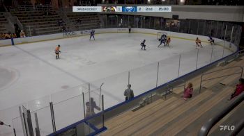 Replay: Home - 2024 Admirals vs Sabres | Oct 13 @ 5 PM