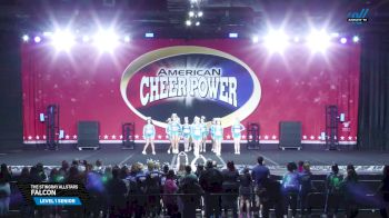 The Stingray Allstars - Falcon [2025 L1 Senior Day 2] 2025 Cheer Power Grand Nationals