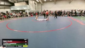126 lbs Champ. Round 2 - Hudson Anderson, Douglas County vs Riley Valdez, Centauri