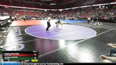 D3-170 lbs Champ. Round 1 - Lukas Paulson, Clear Lake vs Peter Kuchta, Coleman