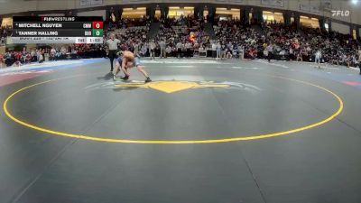 132-2A/1A Quarterfinal - Tanner Halling, Boonsboro vs Mitchell Nguyen, C. Milton Wright