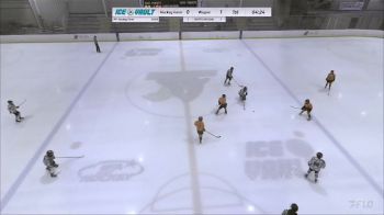 Replay: Home - 2024 Hockey Farm PW vs Wayne PW | May 4 @ 4 PM