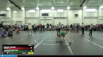 84 lbs Finals (2 Team) - Connor Niehaus, Dog Pound vs Shane Cronin, Phoenix