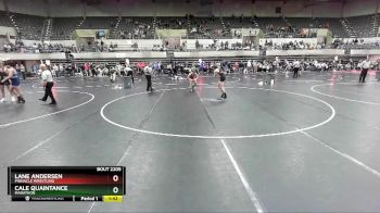119 lbs Semifinal - Cale Quaintance, Marathon vs LANE ANDERSEN, PINnacle Wrestling