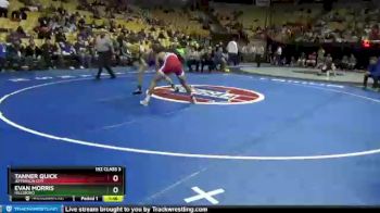 152 lbs Champ. Round 1 - Evan Morris, Hillsboro vs Tanner Quick, Jefferson City