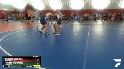 220-221 lbs Round 3 - Hunter Richmond, Canton vs D?Andre Johnson, Park Rapids