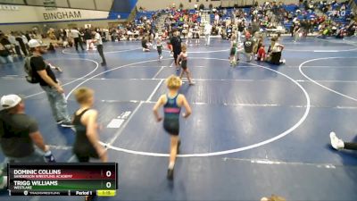 63 lbs Semifinal - Dominic Collins, Sanderson Wrestling Academy vs Trigg Williams, Westlake