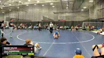 100 lbs Round 3 (4 Team) - Cale Vandermark, Iowa Blue vs Brodey Wilcox, Wyoming Gold