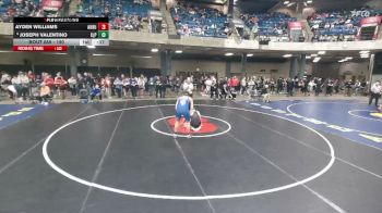190 lbs Cons. Round 2 - Joseph Valentino, Chicago (St. Patrick) vs Ayden Williams, Auburn