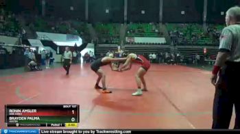 170 lbs Cons. Round 2 - RONIN AMSLER, Bob Jones vs Brayden Palma, Austin