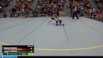 50 lbs Quarterfinal - Kaison Perkins, NRHEG Panther Youth Wrestling vs Jaxon Cardinal, MN Elite